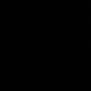 Meet your Posher, Sammy